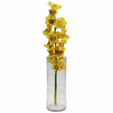 Орхидея желтая ветка, Липецк