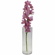 Орхидея розовая ветка, Липецк